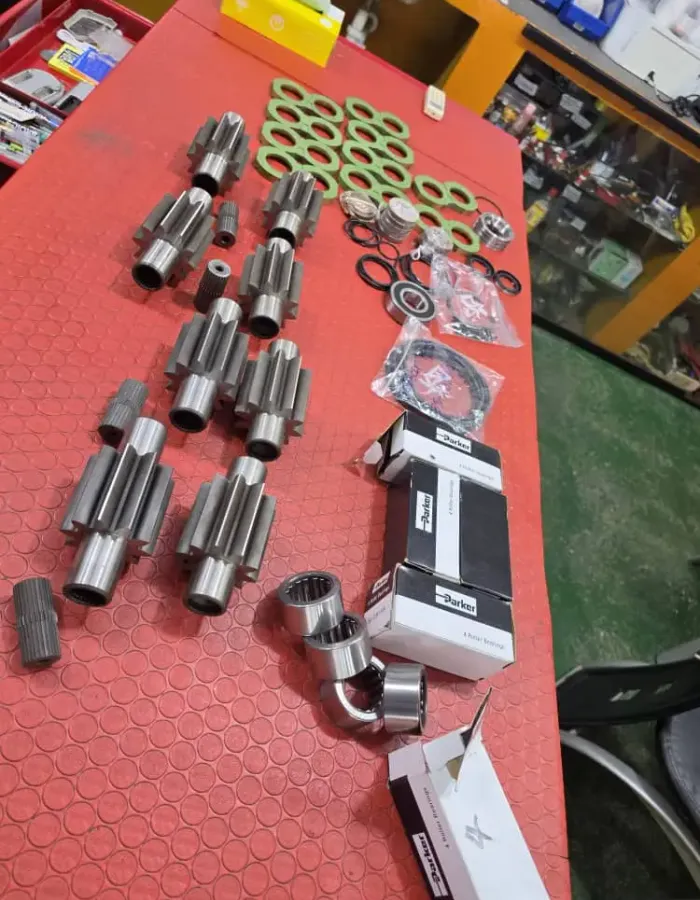 SHIWCA Galería