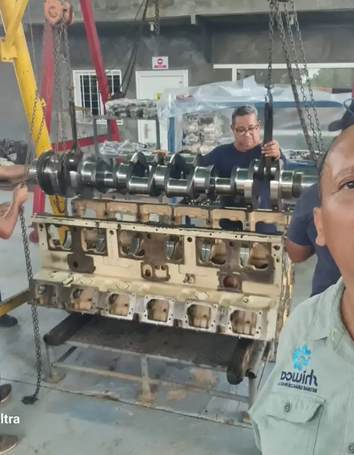 SHIWCA Galería