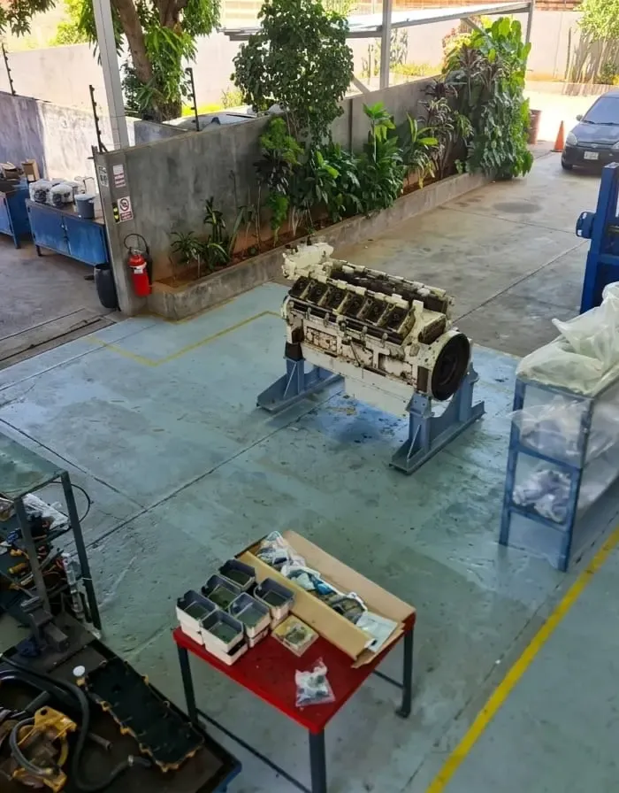 SHIWCA Galería